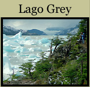 Lago Grey